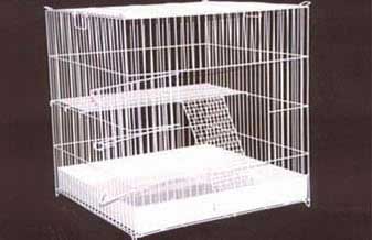 Aviário Monte Santo - Foto 1