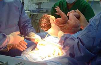 Maria Madalena Moreira Rebesco - Foto 1