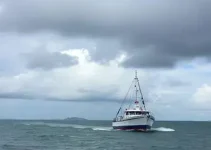 Almirante Tamandaré