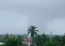 Almirante Tamandaré