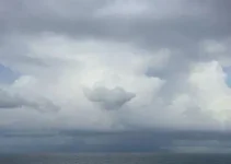 Almirante Tamandaré