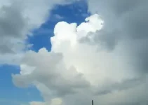 Almirante Tamandaré previsão do tempo