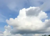 Almirante Tamandaré