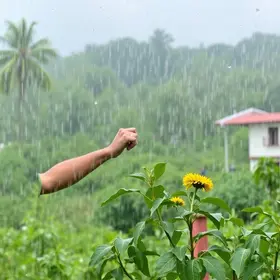 Almirante Tamandaré