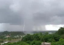 Almirante Tamandaré