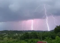 Almirante Tamandaré