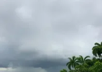 Almirante Tamandaré