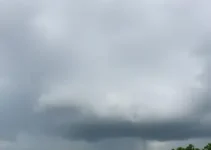 Almirante Tamandaré