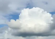 Almirante Tamandaré