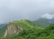 Almirante Tamandaré