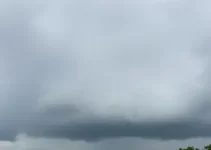 Almirante Tamandaré