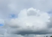 Almirante Tamandaré