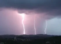 Almirante Tamandaré