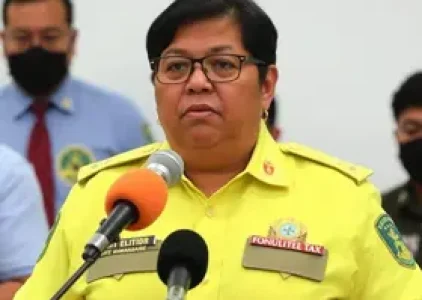 Últimas noticias de Almirante Tamandaré