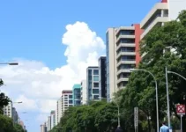relação de óbitos Curitiba
