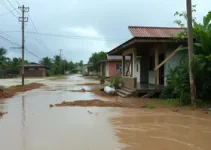 enxurrada de lama