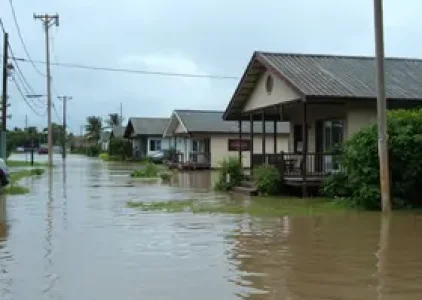 Últimas noticias de Almirante Tamandaré