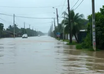 Últimas noticias de Almirante Tamandaré