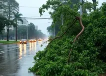 temporal em Curitiba