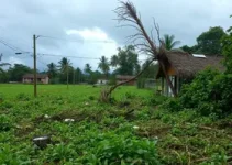temporal no Paraná