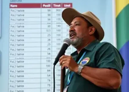 Últimas noticias de Almirante Tamandaré