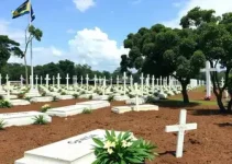 boletim de óbitos em Curitiba