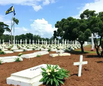 boletim de óbitos em Curitiba