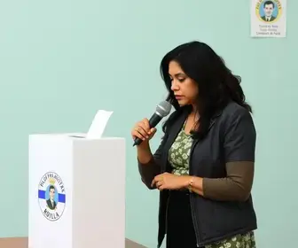 Almirante Tamandaré 2026 votacao